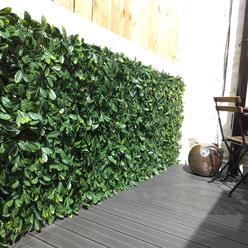Extendable Instant Laurel Hedge 2mx1m