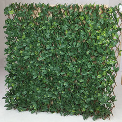 Extendable Instant Laurel Hedge 2mx1m Thumbnail