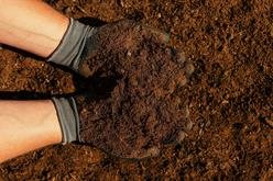 Rolawn Hallstone Blended Loam Topsoil Thumbnail